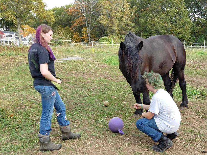 Screen Shot 2018-01-18 at 11.24.53 AM